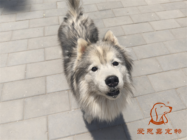 極光 (2).jpg