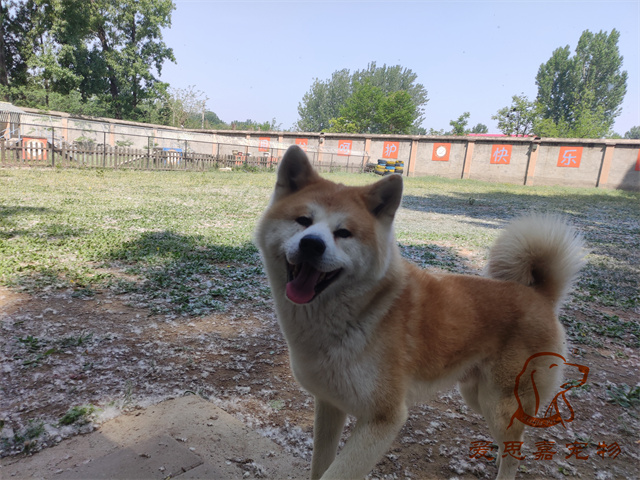 一郎 (3).jpg