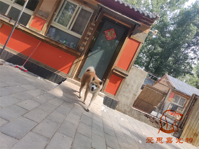 大熊小七 (4).jpg