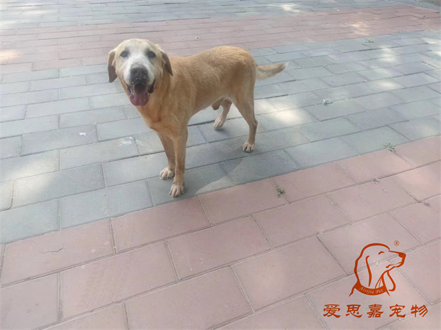 拉瑞 (1).jpg