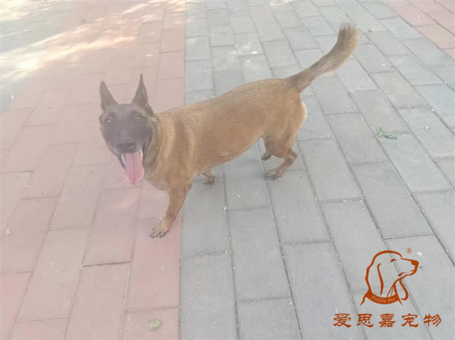 樂樂 (1).jpg