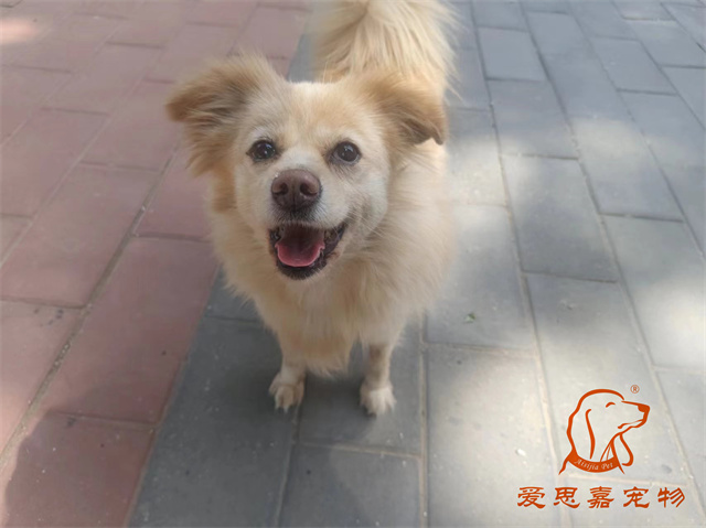 歐尼 (2).jpg