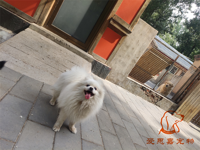 小白小黑 (2).jpg