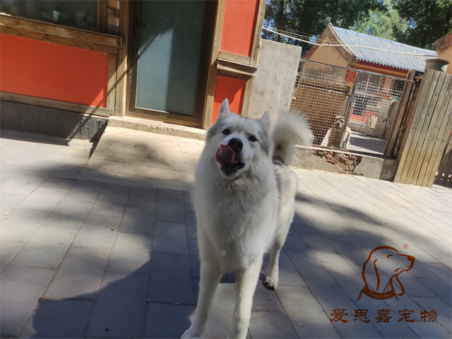 大熊小七 (1).jpg