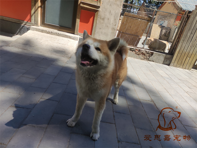 大熊小七 (2).jpg