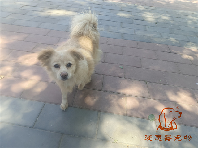 歐尼 (1).jpg