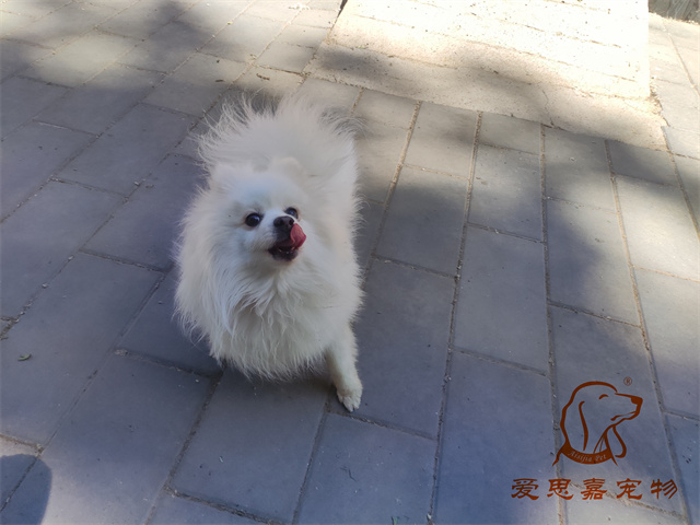 小白小黑 (5).jpg