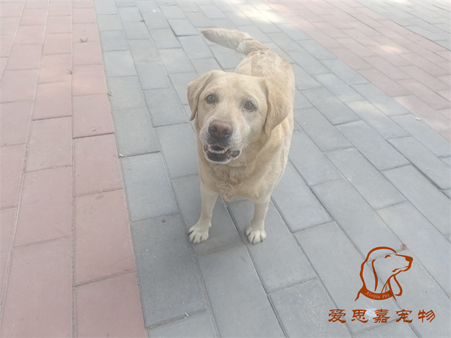 tracker (1).jpg