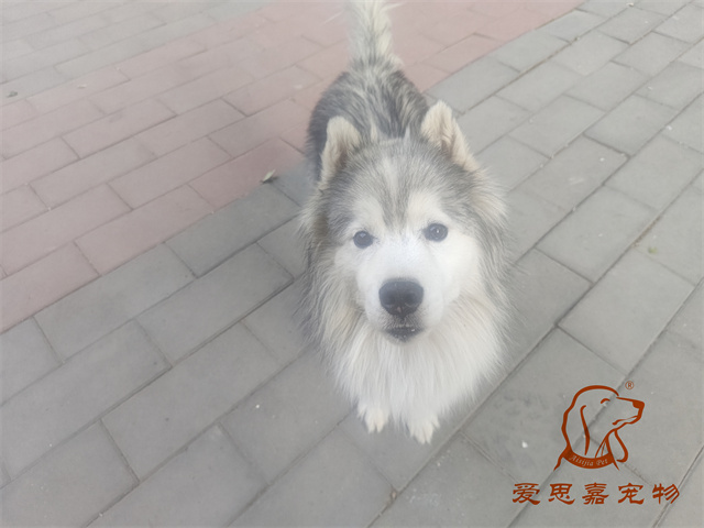 極光 (2).jpg