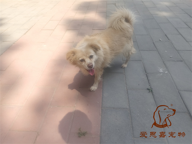 歐尼 (1).jpg