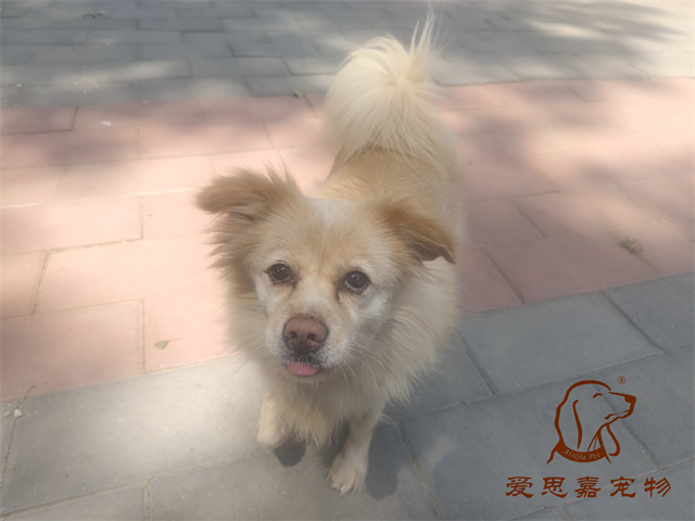 歐尼 (2).jpg