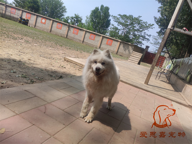 熊熊 (1).jpg