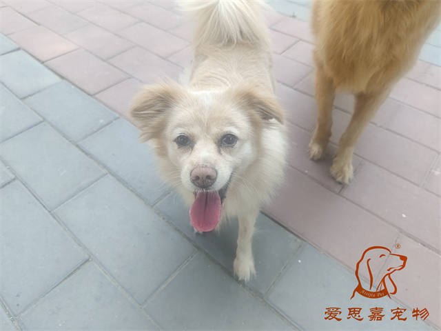 歐尼 (1).jpg