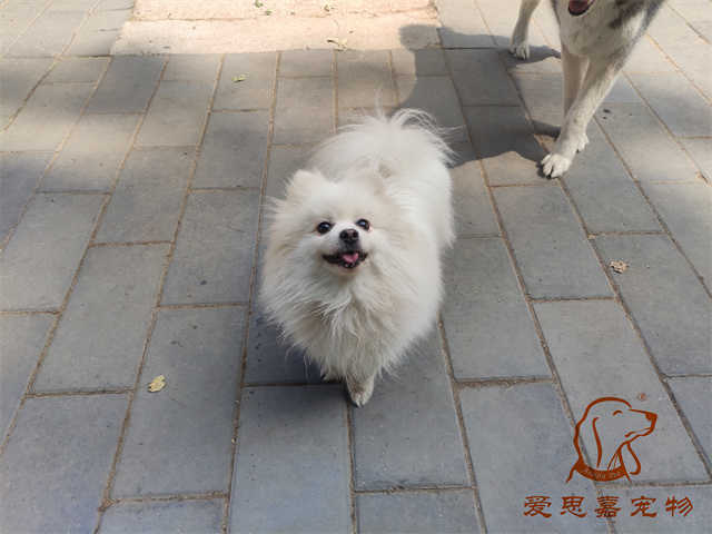 小白小黑 (1).jpg
