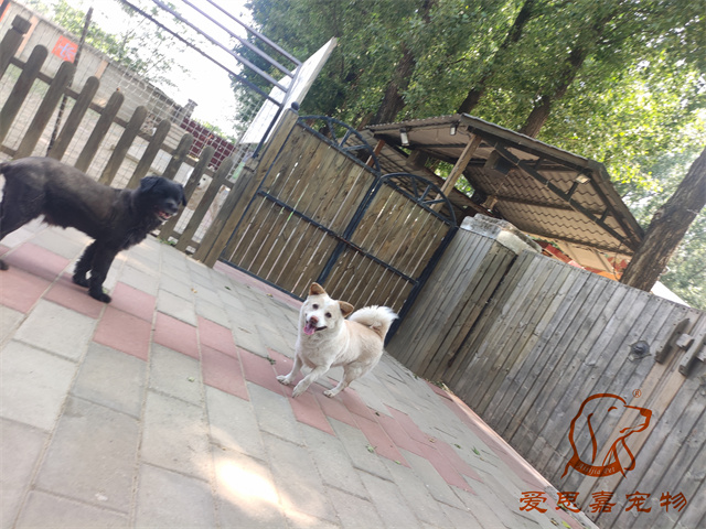 一哥 (2).jpg