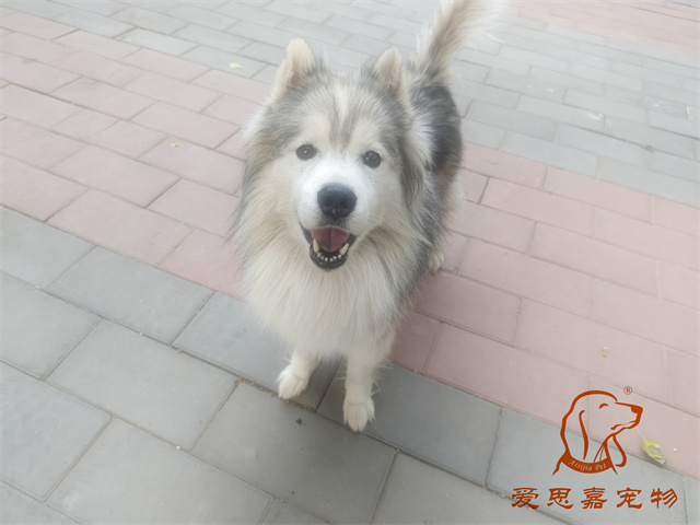 極光 (1).jpg