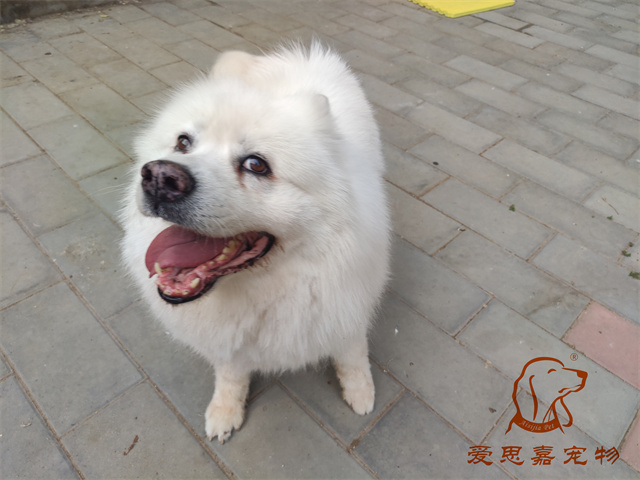 熊熊 (2).jpg