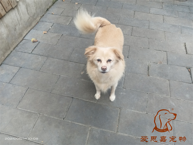 歐尼 (2).jpg