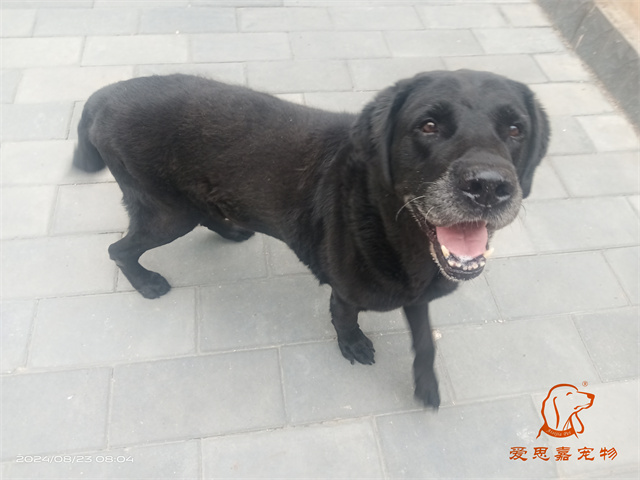 Jack (1).jpg