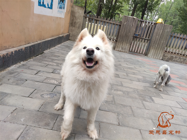 三兒 (3).jpg
