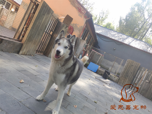 lucky (3).jpg