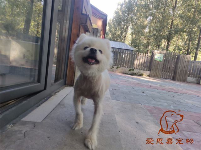 小白小黑 (1).jpg