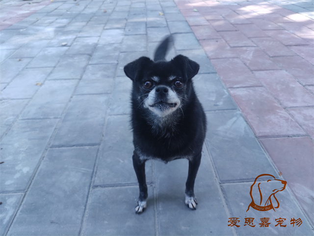 小白小黑 (2).jpg
