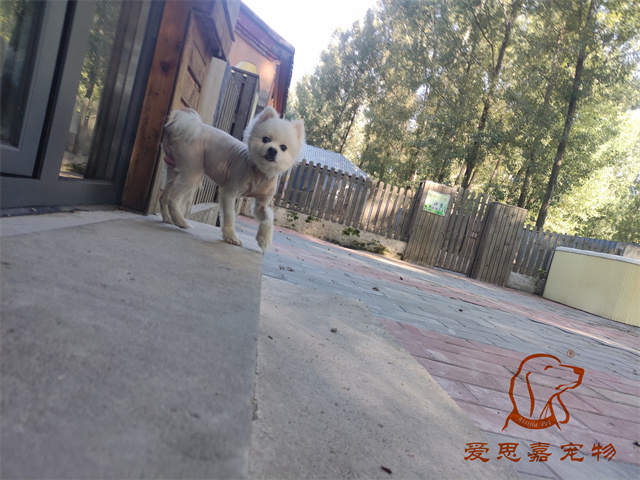小白小黑 (5).jpg