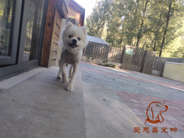 小白小黑 (6).jpg