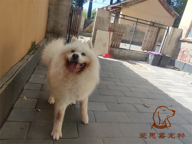 熊熊 (2).jpg