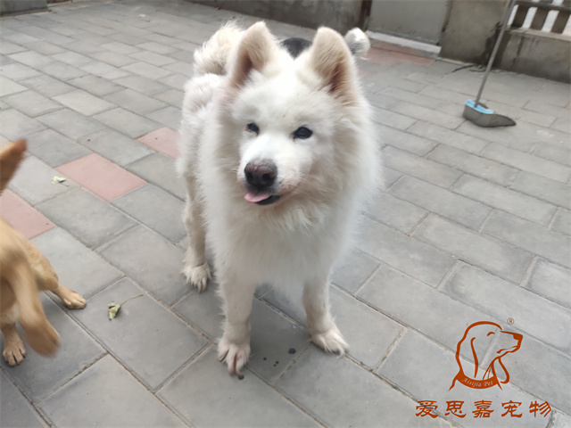 三兒 (2).jpg