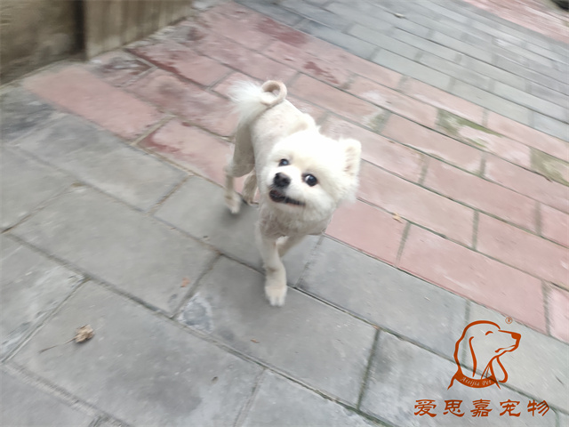 小白小黑 (3).jpg