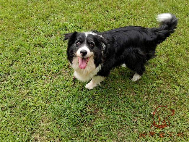buddy (1).jpg
