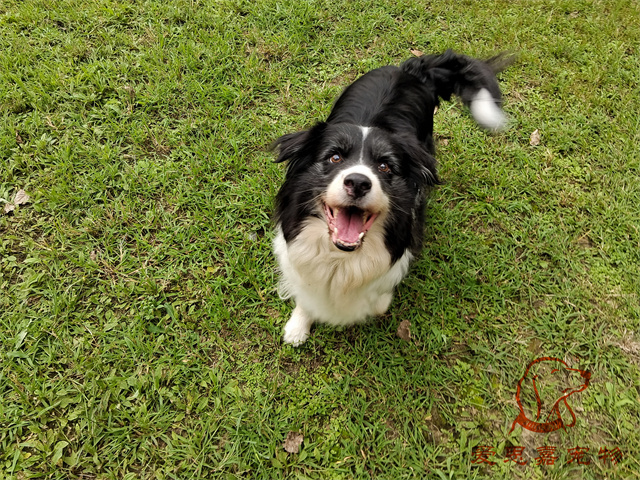 buddy (3).jpg