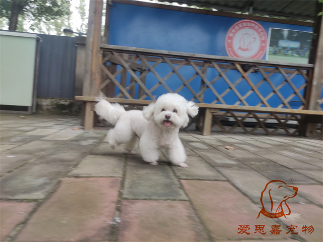 貝殼逗逗 (1).jpg