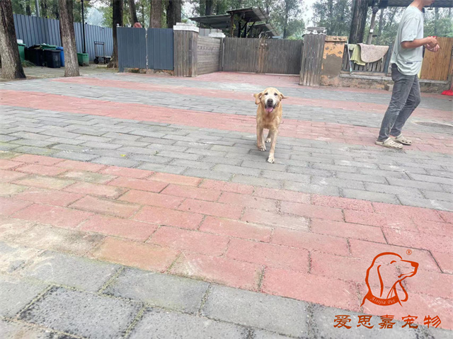 拉瑞 (1).jpg