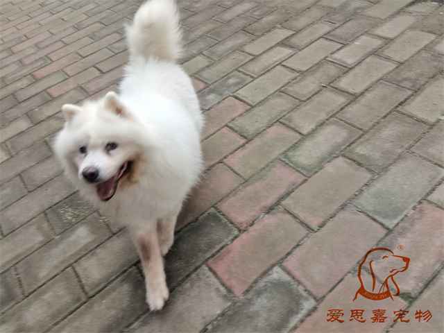 熊熊 (1).jpg