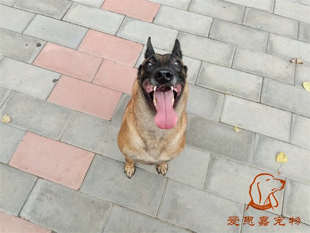 樂樂 (1).jpg