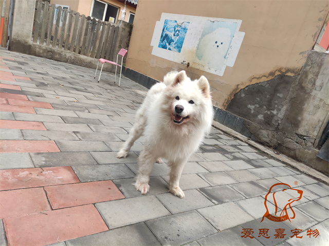 三兒 (2).jpg