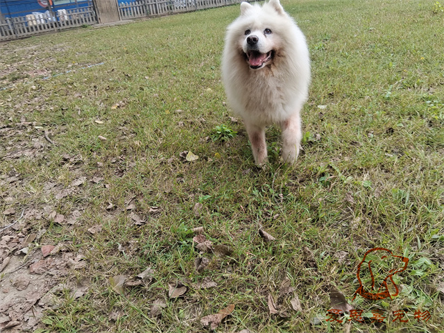 熊熊.jpg
