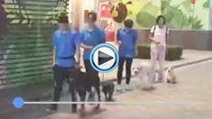 �������h(hu��n)�����m��(y��ng)��Ӗ(x��n)��