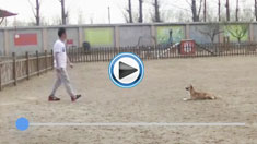 ��@ȮӖ(x��n)��