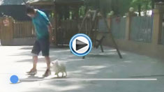 ����Ȯ�D�DӖ(x��n)��